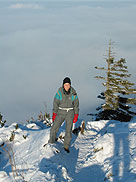 Winter landscape